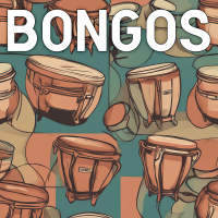 Bongos - Full Cover cover